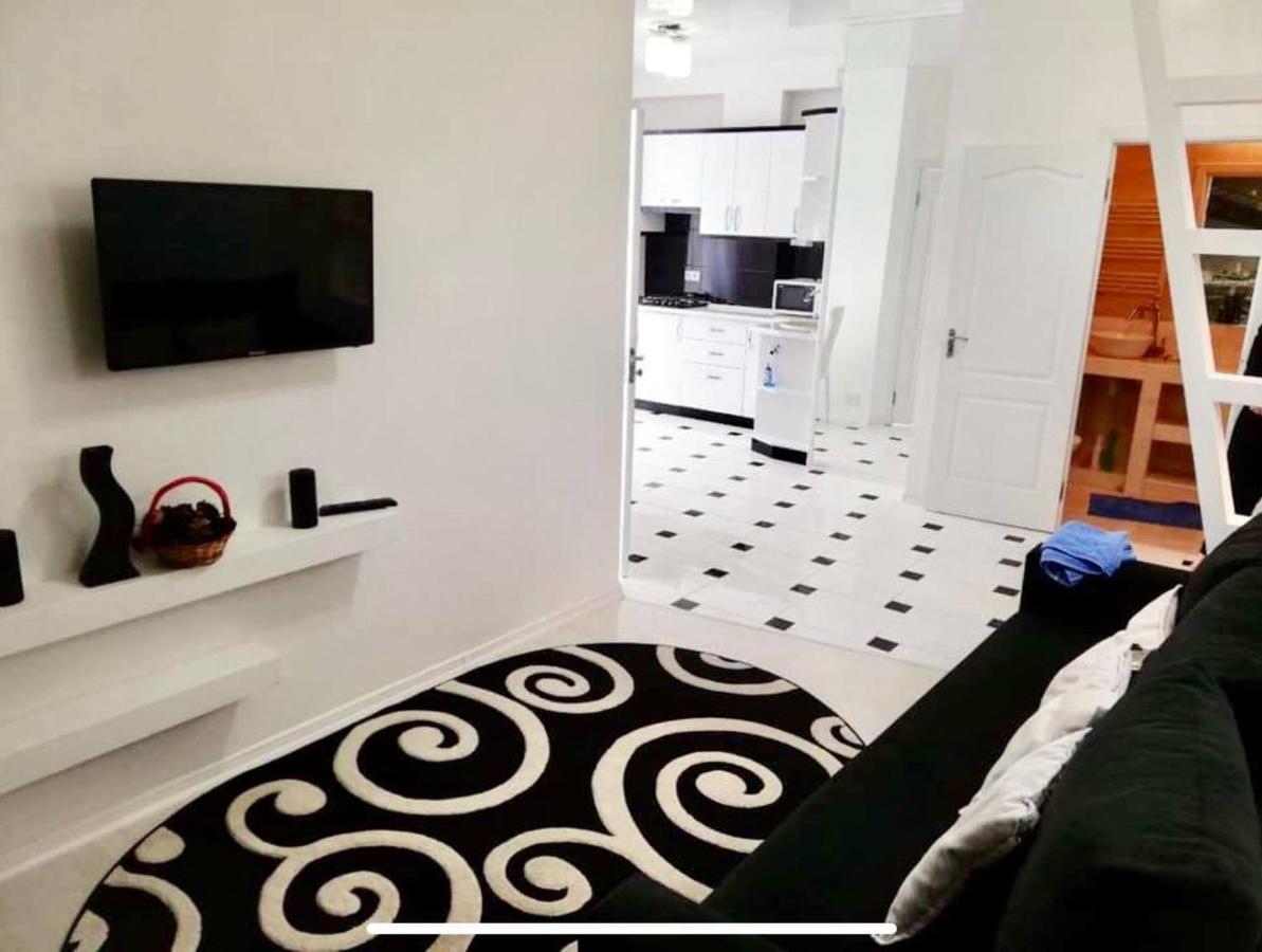 צ'יסינאו Bright Central Apartment מראה חיצוני תמונה